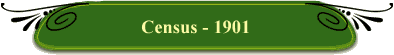 Census - 1901